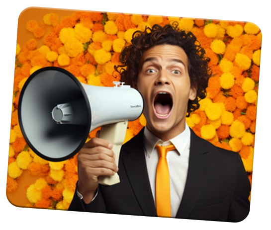 Mini Website